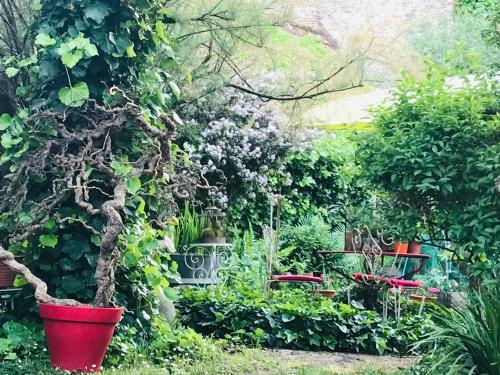 a garden with chairs and a tree and plants at La Maison des Roses in Moulins