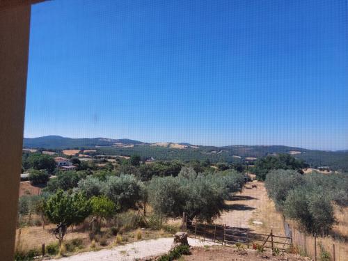 Fattoria La Campigliola – Photos 3