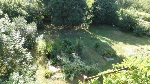 an overhead view of a garden with plants and trees at Chatrou in Châtelraould-Saint-Louvent