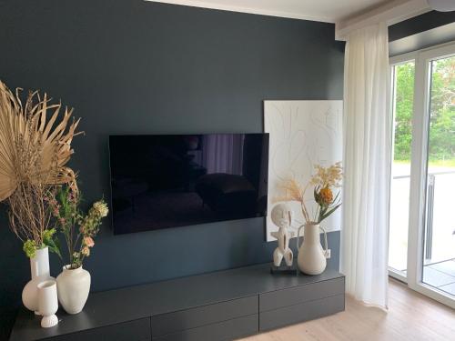 TV a/nebo společenská místnost v ubytování FeWo Prora - Designapartment Sir Henry