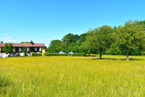 a field of tall grass with a house in the background at Hotel und Restaurant Nehrener Hof in Nehren