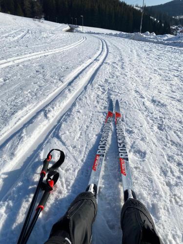 a person is standing in the snow with skis at Panorama apartmán 44-C in Donovaly