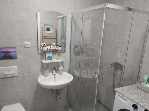 a bathroom with a shower and a sink at # Espresso 2 Apartman sa garazom in Sremska Mitrovica
