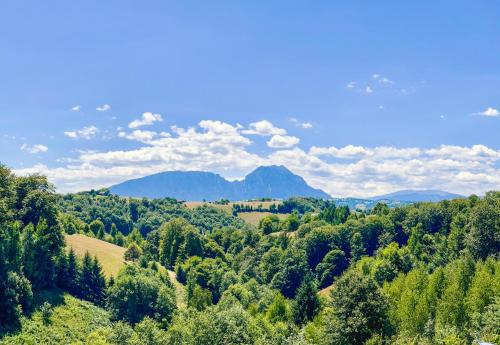 a view of a forest with mountains in the background at Pensiunea 7 Brazi II in Poiana Mărului