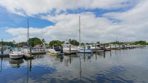 a group of boats docked in a harbor at Sarasota Cay Club #612 - Heated Pool, Bunk Beds, Huge TV, Tiki Bar, More! in Sarasota