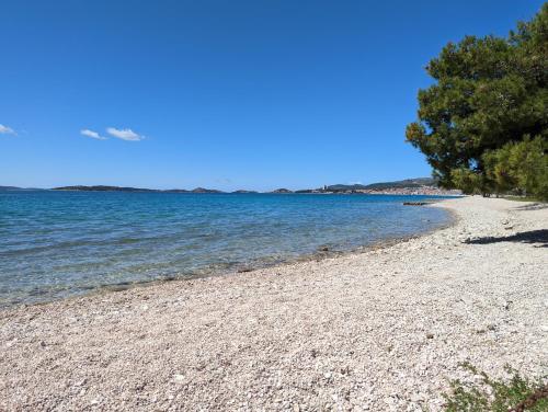 a rocky beach with trees and the water at Apartments Magnolija 50m from beach in Srima