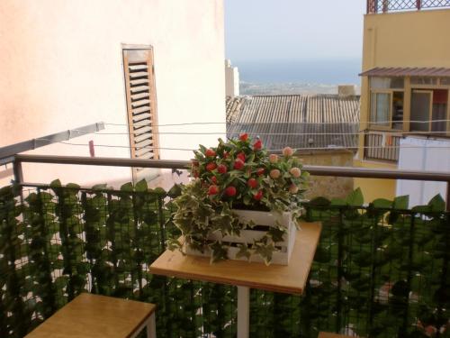 eine Topfpflanze auf einem Tisch auf einem Balkon in der Unterkunft DMZ - Agrigento Apartment in Agrigento