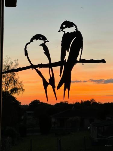two birds sitting on a tree branch at sunset at Maison Hirondelles Hôtes in Mézières-sur-Issoire