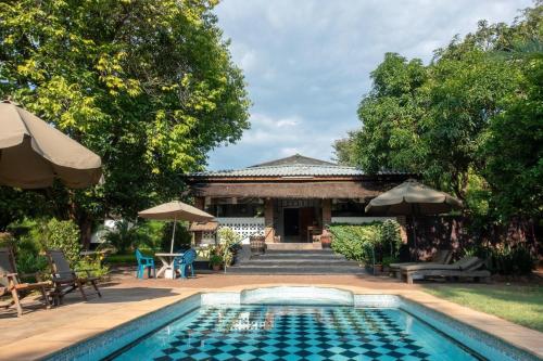 a backyard with a swimming pool and a house at Green Tree Lodge in Livingstone