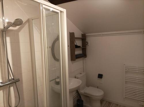a bathroom with a shower and a toilet and a sink at Cadol'Ain in Servignat