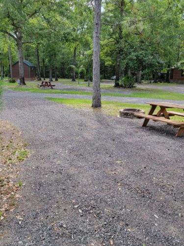 una mesa de picnic y un árbol en un parque en Okefenokee Pastimes Cabins and Campground, en Stanley Landing
