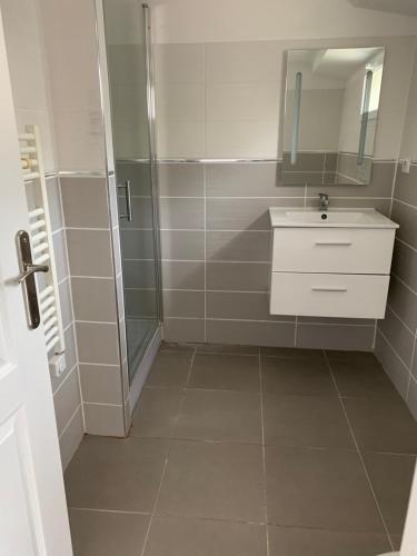 a bathroom with a sink and a mirror and a shower at Studio calme et indépendant proche Tours in Fondettes