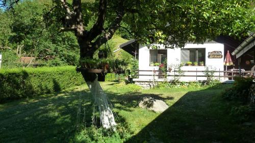 un árbol frente a una casa blanca en Вила Даяна en Ribarica