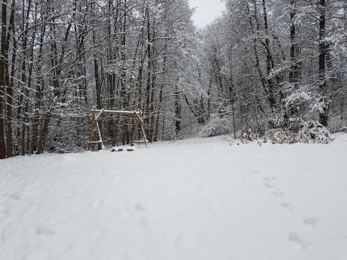 a field covered in snow with trees in the background at Jedlinka 37 in Klášterec nad Orlicí