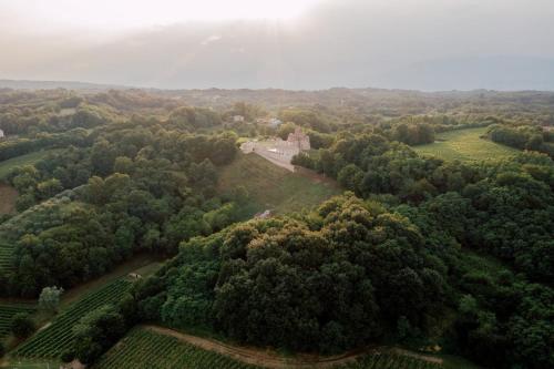 an aerial view of a house in the middle of a forest at Villa Fior di Robinia in Giavera del Montello