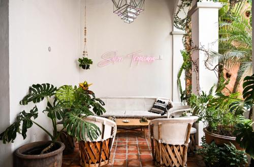 Casa Blanco by Barrio Mexico en Guadalajara