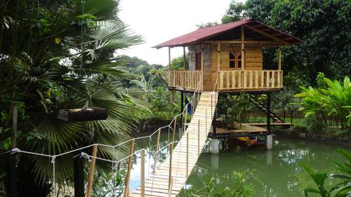 a tree house in the middle of a body of water at Aventura Treehouse Glamping in Palmira