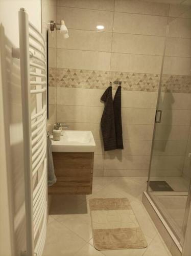 a bathroom with a shower and a sink at Štýlový Apartmán Zemplínska in Prešov