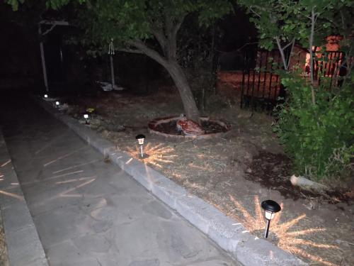 two lights in a yard at night with a tree at Nemesia resort in Anaxos