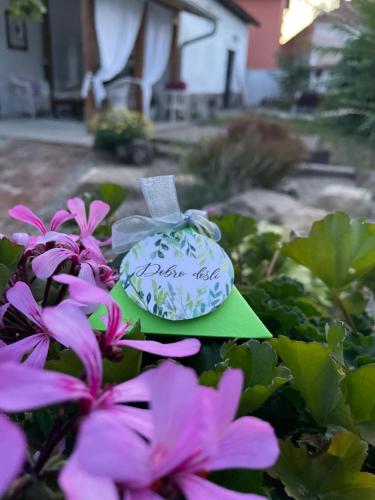 a green card sitting on top of flowers at BELA VILA in Negotin