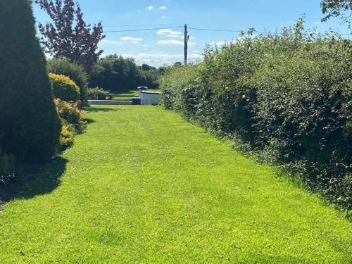 a grassy path with bushes and trees on it at Adorable Cabin in the Countryside in Portlaoise