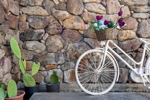 Una bicicleta con flores en una cesta junto a una pared de piedra en Lu Casal de Fiò en Alguer