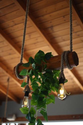 a potted plant hanging from a ceiling with lights at Aliko Hotel in Vlorë