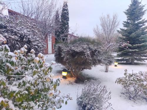 a yard covered in snow with lights and trees at Hotel Picos Del Sur in El Calafate