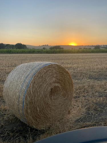 a large hay bale in a field at sunset at Il Girasole Terzuolo in Manciano