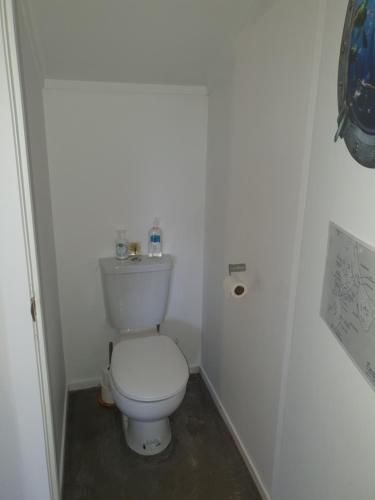 a bathroom with a white toilet in a room at Bluewater Studio in Tairua