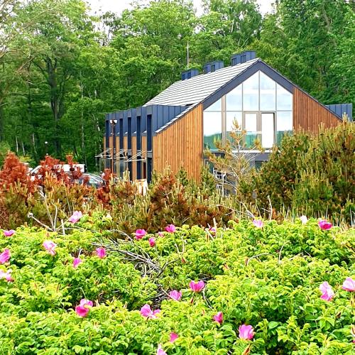 a house in the middle of a garden with flowers at Sea house Preila in Neringa