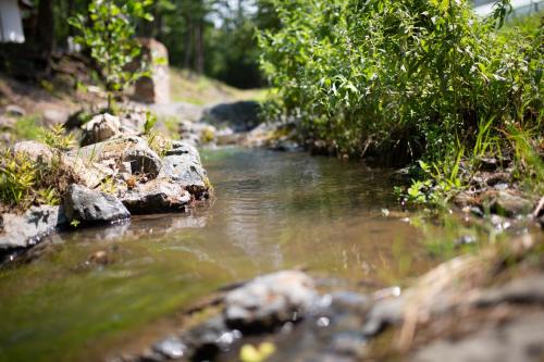 a small stream of water with rocks and trees at Brvnara Mila Vila in Pranjani
