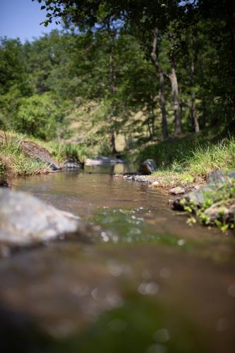 a river with rocks and trees in the background at Brvnara Mila Vila in Pranjani