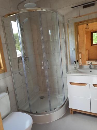 a bathroom with a shower and a sink at Podkarpacka Chata in Iwonicz-Zdrój