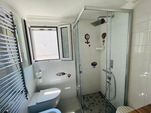 a bathroom with a toilet and a glass shower at La Palladiana - Immobilevante in Ponza
