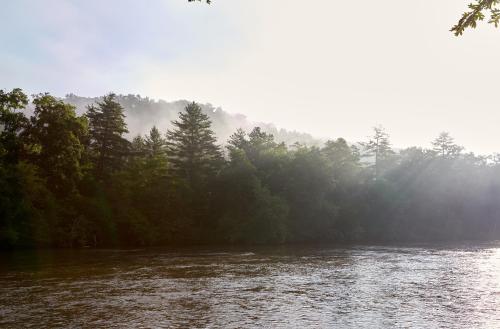 a river with a bunch of trees in the background at Asheville River Cabins in Arden
