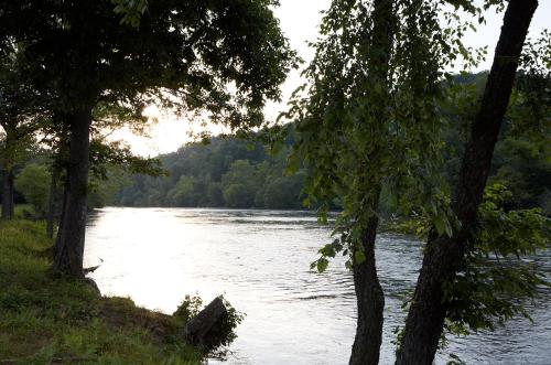 a view of a river from between two trees at Asheville River Cabins in Arden