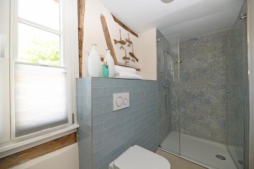 y baño con ducha de azulejos azules y aseo. en Das schiefe Haus Wohnung St Peter, en Heppenheim an der Bergstrasse