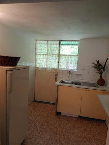 an empty kitchen with a sink and a door at CASOLARE TROMBACCO in Vergemoli