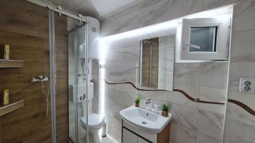y baño con lavabo y ducha acristalada. en Lux Star-vila za odmor en Bešenovački Prnjavor