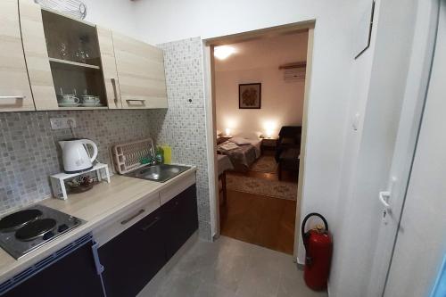 una pequeña cocina con fregadero y una habitación en Studio Apartman Škudar, en Bjelovar