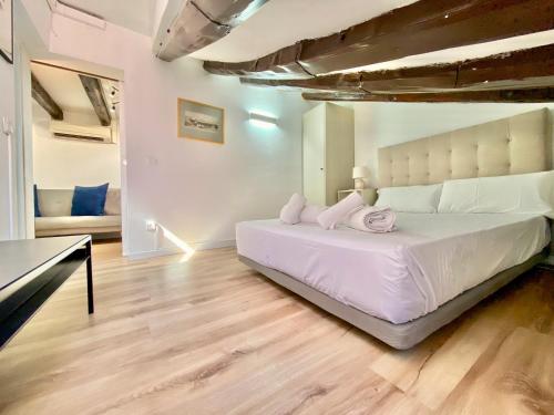 Malasaña Attic - In the city center