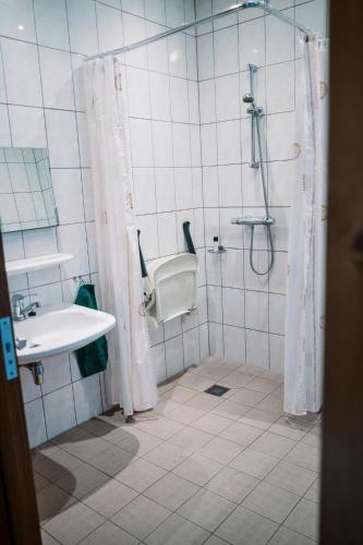 a bathroom with a shower and a sink at Charmecamping & Appartementen De Regge-Vallei in Den Ham