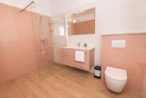 Un baño con ducha, inodoro y lavabo. en Villa Tereza Residence, en Labin