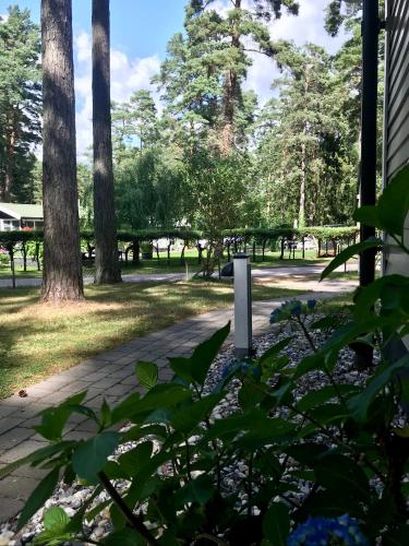 Zahrada ubytování Nordic Relax House - Stonehouse