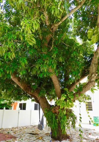 Beautiful Casita with King Bed and private patio Close to Calle 8, MIA Airport, Coral Gables photo 24