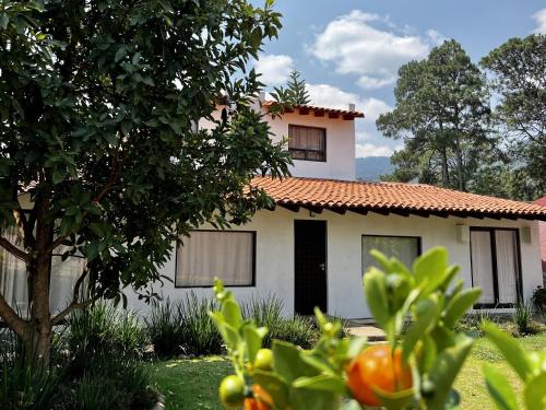 Κήπος έξω από το Casa Lunah Avandaro