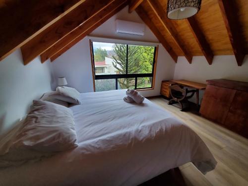 Vuode tai vuoteita majoituspaikassa Lucky's Hostel