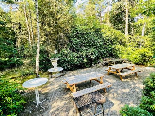 a patio with benches and a grill and trees at Cosy villa in the middle of the woods in Doornspijk in Doornspijk