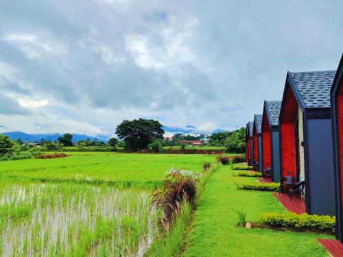 a row of red and blue houses in a field at ก๋างโต้ง คอฟฟี่รีสอร์ท in Ban Na Kham